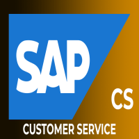 SAP CSOnline Training Viswa Online Trainings Classes In India
